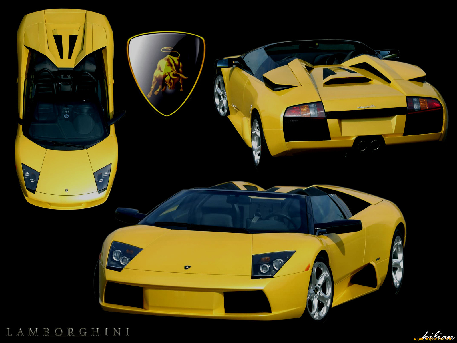, lamborghini
